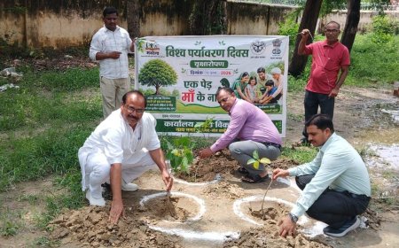 नाथनगर ब्लॉक क्षेत्र में रोपे गए 1.37 लाख से अधिक पौधे