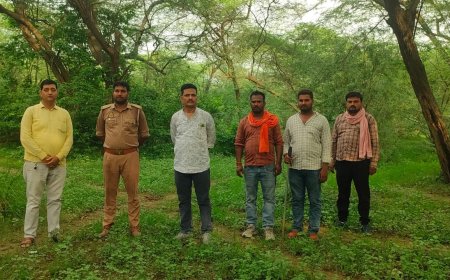 जंगल में तेंदुआ जानवर की सूचना पर वन विभाग अलर्ट