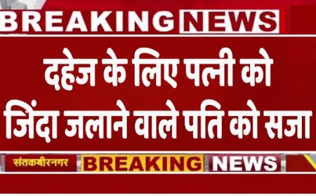 दहेज के लिए पत्नी को जिंदा जलाने वाले पति को 8 वर्ष की सजा