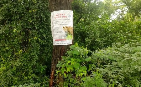 तेंदुआ के बचाव के लिए गॉव के आस पास लगा जा रहे पोस्टर