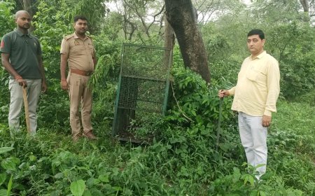 तेंदुए को पकड़ने के लिए वन विभाग का अभियान तेज