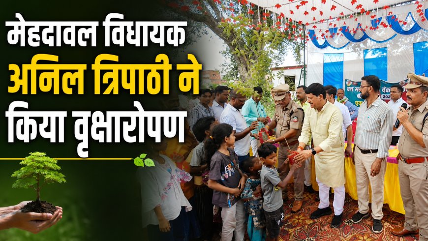 मेहदावल विधायक अनिल त्रिपाठी ने किया वृक्षारोपण 