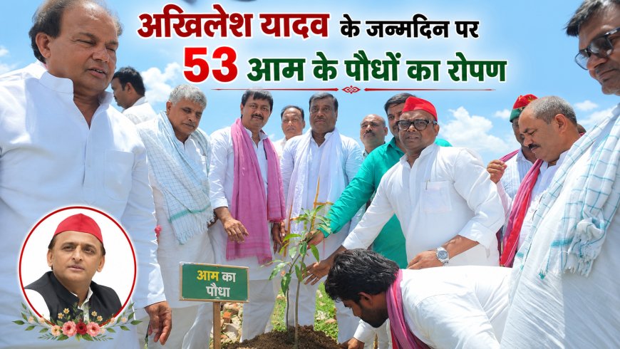 अखिलेश यादव के जन्मदिन पर 53 आम के पौधों का रोपण, गोष्ठी आयोजित