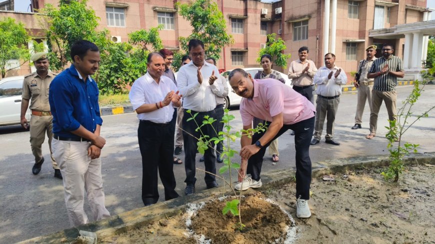 संतकबीरनगर  में जिला जज के नेतृत्व में पौधारोपण कार्यक्रम का हुआ आयोजन