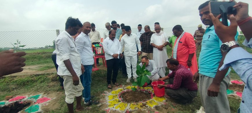 पूर्व विधायक राकेश सिंह बघेल ने किया वृक्षारोपण 