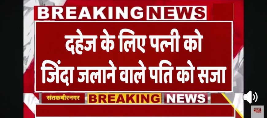 दहेज के लिए पत्नी को जिंदा जलाने वाले पति को 8 वर्ष की सजा