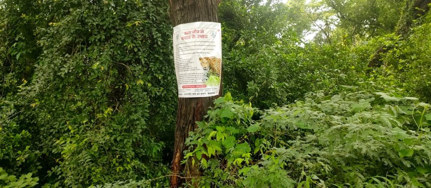 तेंदुआ के बचाव के लिए गॉव के आस पास लगा जा रहे पोस्टर