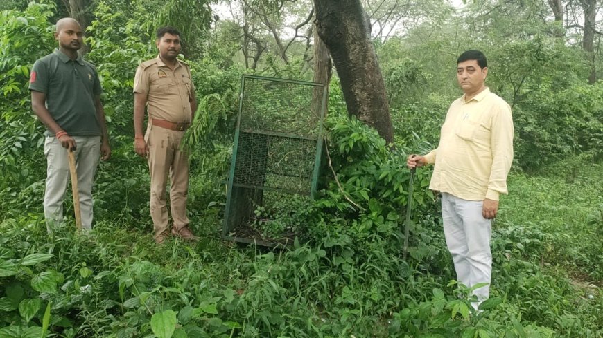 तेंदुए को पकड़ने के लिए वन विभाग का अभियान तेज