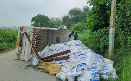 सर्फ लदी पिकअप अनियंत्रित होकर पलटी, चालक घायल