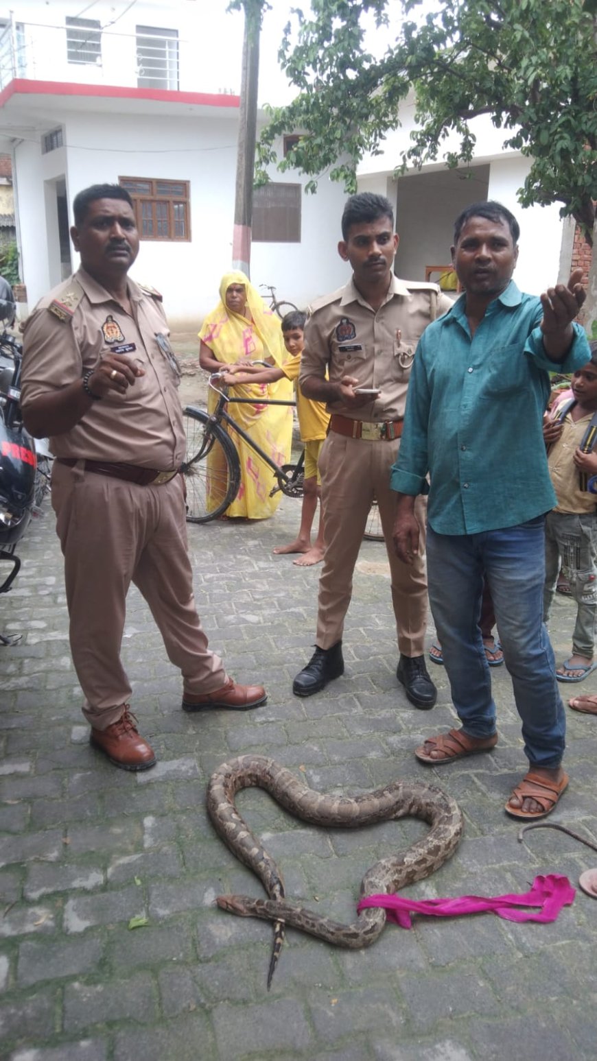 अजगर निकलने से ग्रामीणों में हड़कंप, वन विभाग ने किया रेस्क्यू