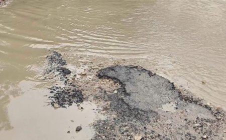 स्कूली बच्चों और राहगीरों को करना पड़ रहा परेशानी का सामना