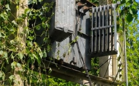 विभागीय उदासीनता की भेंट चढ़ रहे विद्युत उपभोक्ता 