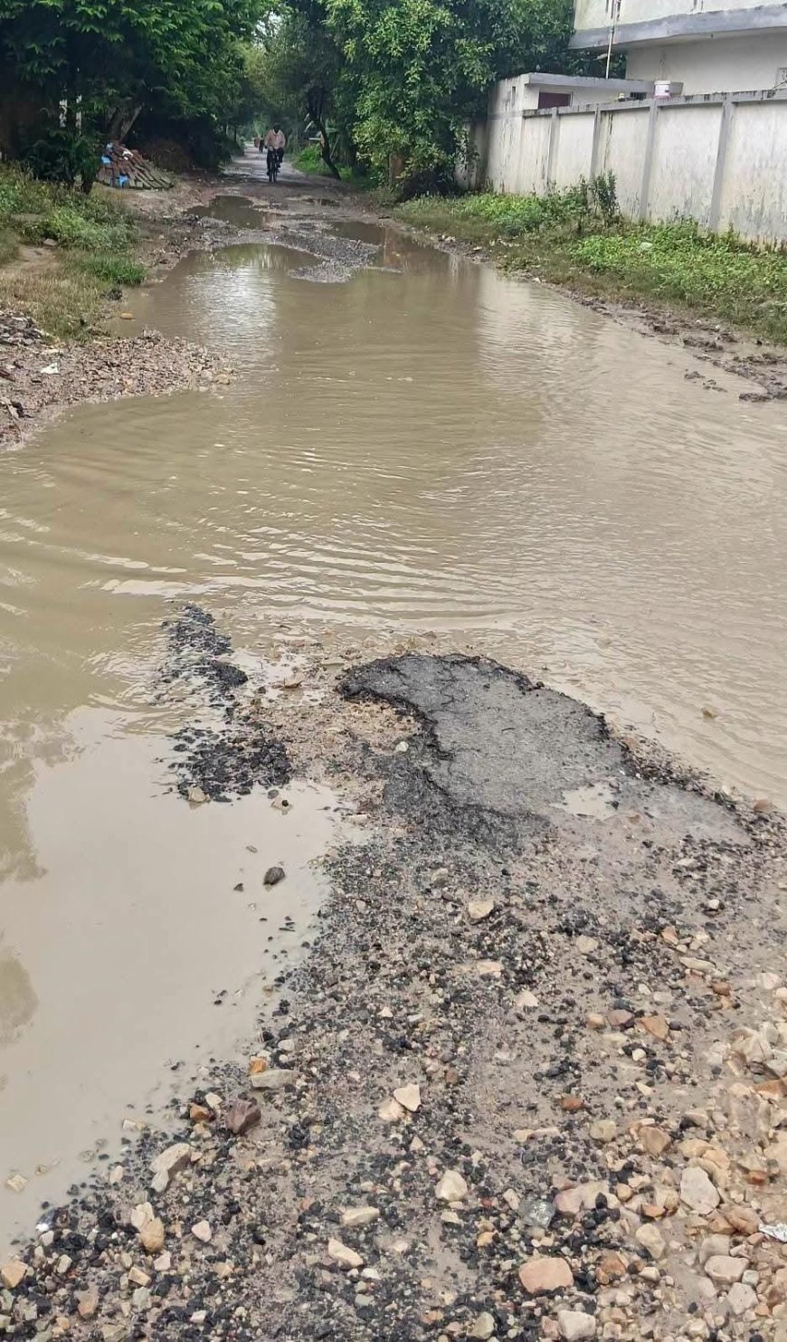 स्कूली बच्चों और राहगीरों को करना पड़ रहा परेशानी का सामना
