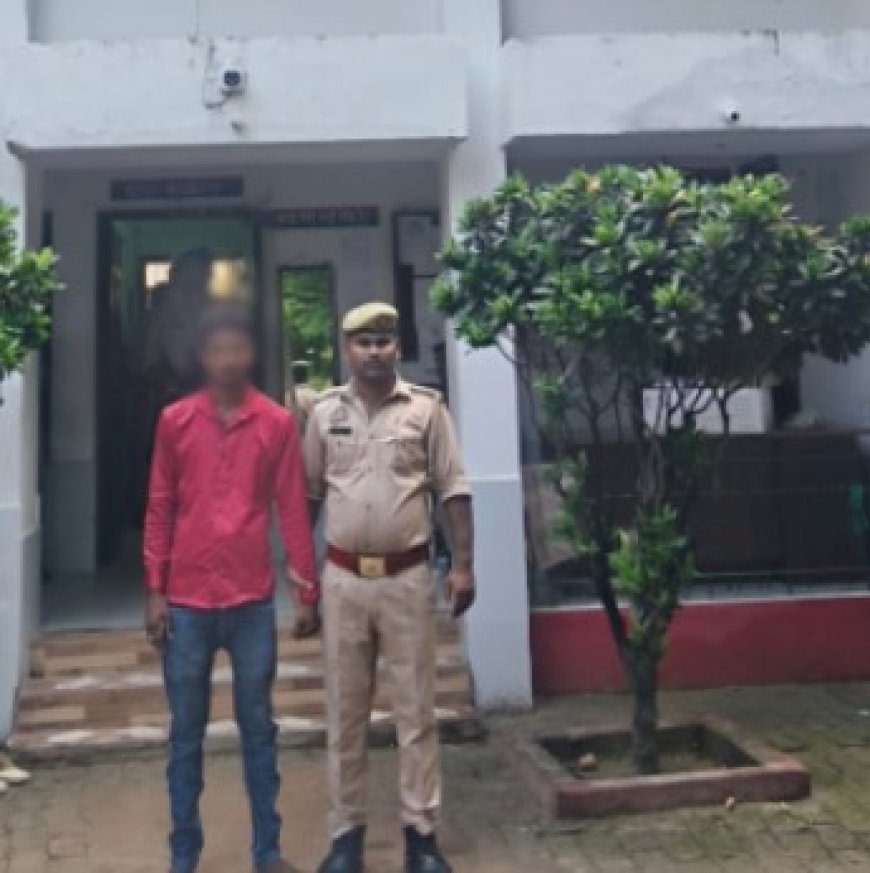 चोरी की गैस सिलेण्डर व चावल बरामद, अभियुक्त गया जेल